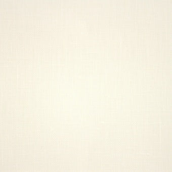 Linen (Zweigart) - 46 count/Bergen