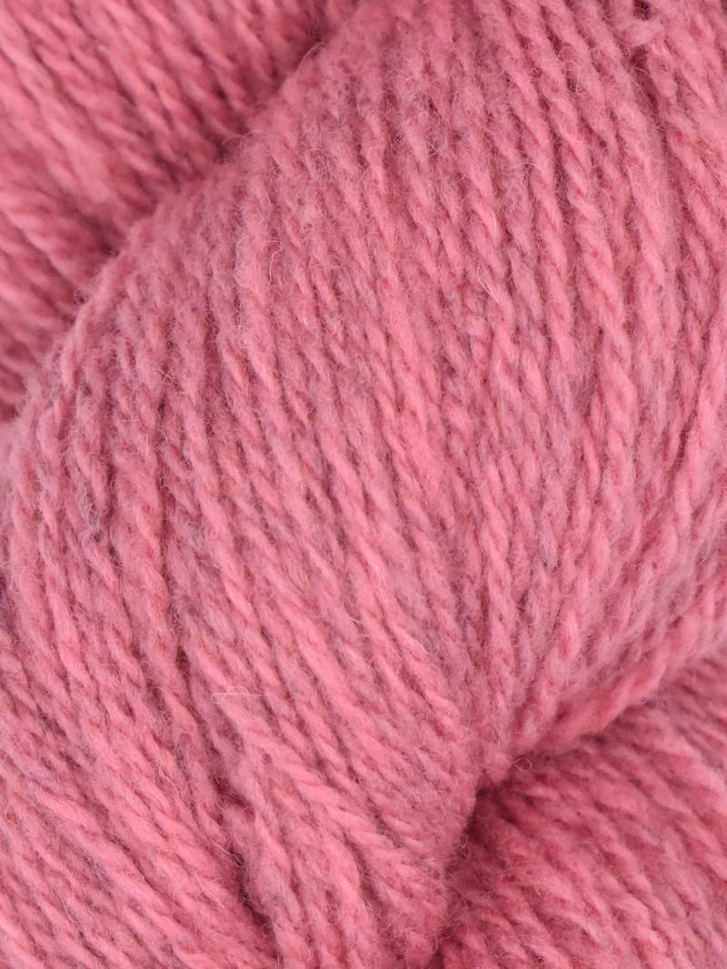 Patagonia Organic Merino