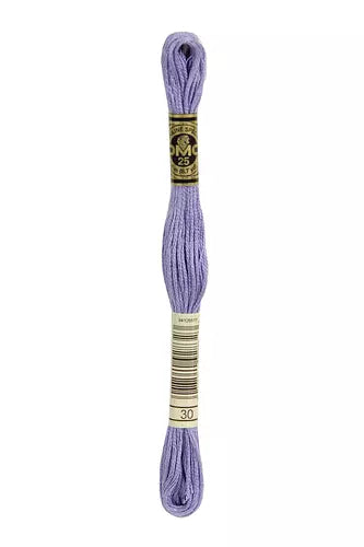 DMC Embroidery Floss 1-824