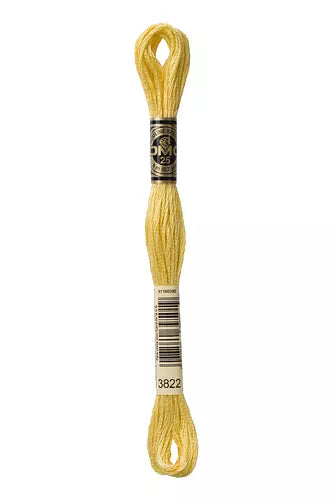 DMC Embroidery Floss - 825 to 3866