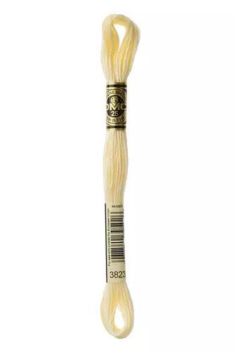 DMC Embroidery Floss - 825 to 3866