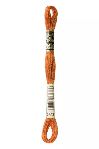 DMC Embroidery Floss - 825 to 3866