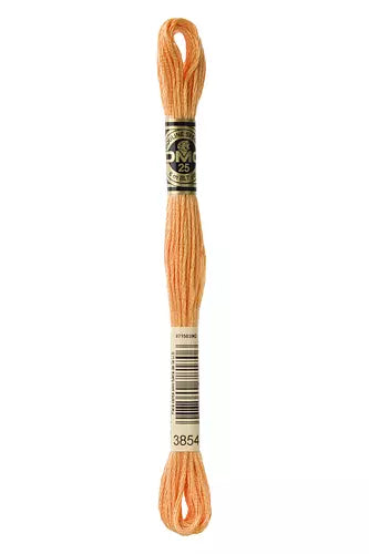 DMC Embroidery Floss - 825 to 3866