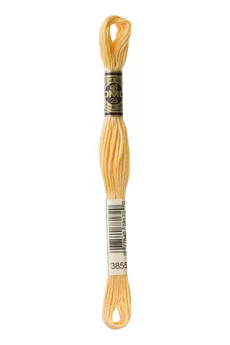 DMC Embroidery Floss - 825 to 3866