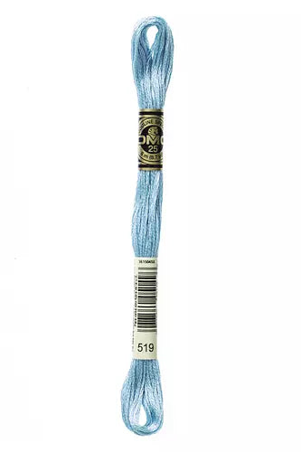 DMC Embroidery Floss 1-824