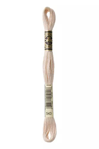 DMC Embroidery Floss 1-824