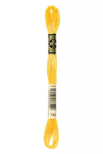 DMC Embroidery Floss 1-824
