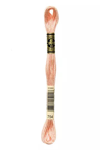 DMC Embroidery Floss 1-824