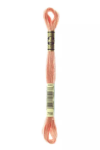 DMC Embroidery Floss 1-824
