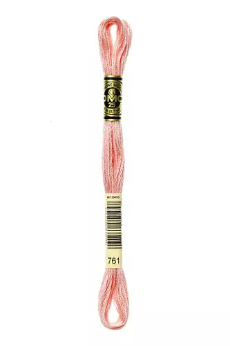 DMC Embroidery Floss 1-824
