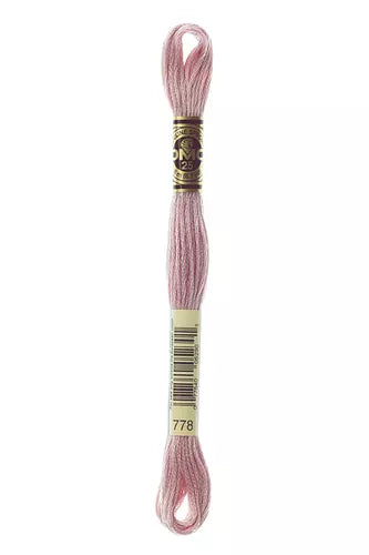 DMC Embroidery Floss 1-824