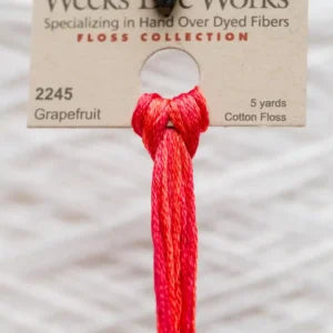 Weeks Dye Works Overdyed Cotton Threads - Dirt Road to Ivy