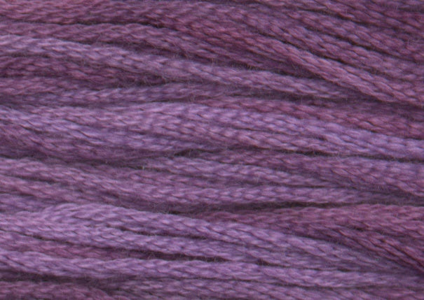 Hyacinth 0850
