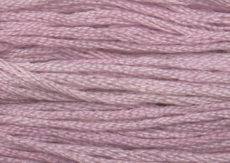 Jasmine 0890