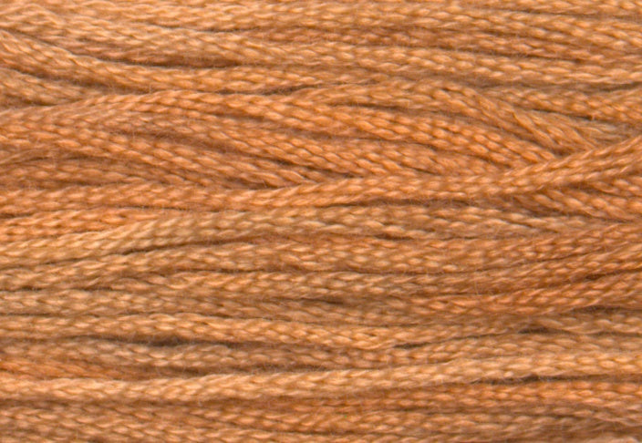 Cidermill Brown 7007