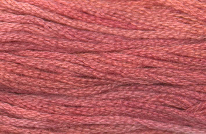 Antique Rose 7014