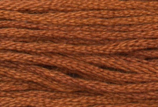 Sarsaparilla 7015