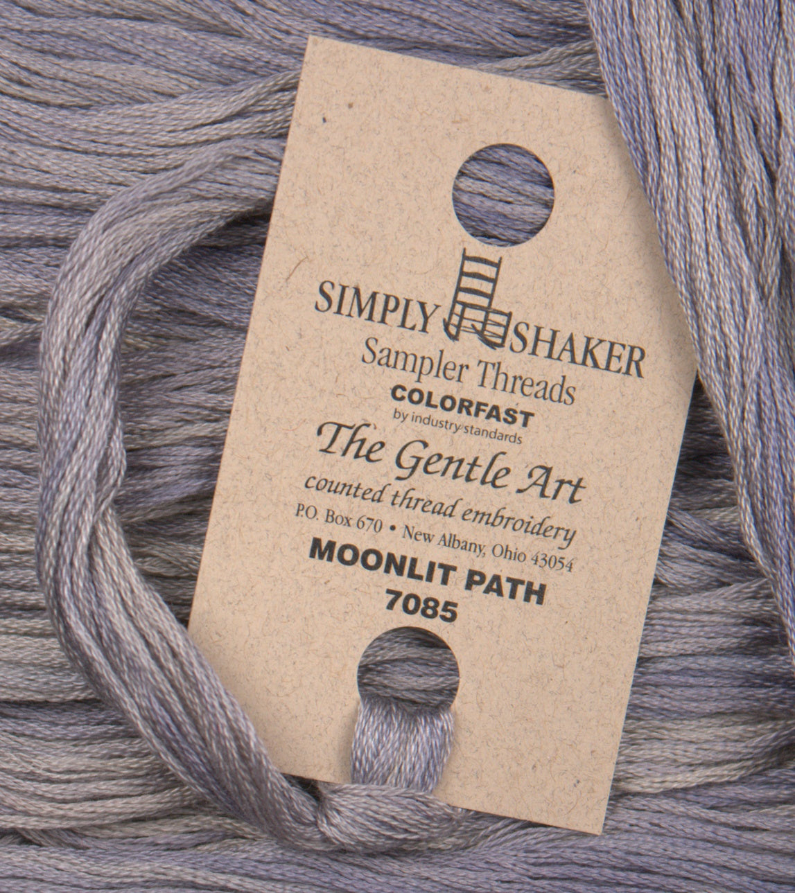Moonlit Path 7085