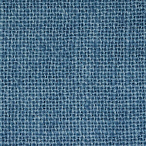 WDW Blue Jeans