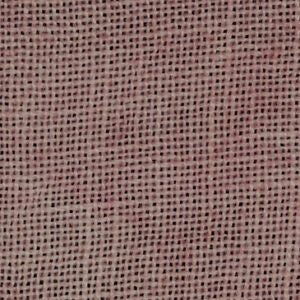 WDW Charlotte's Pink