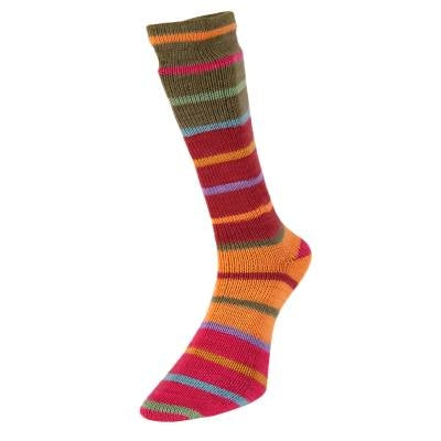 Evolution Stripe Sock