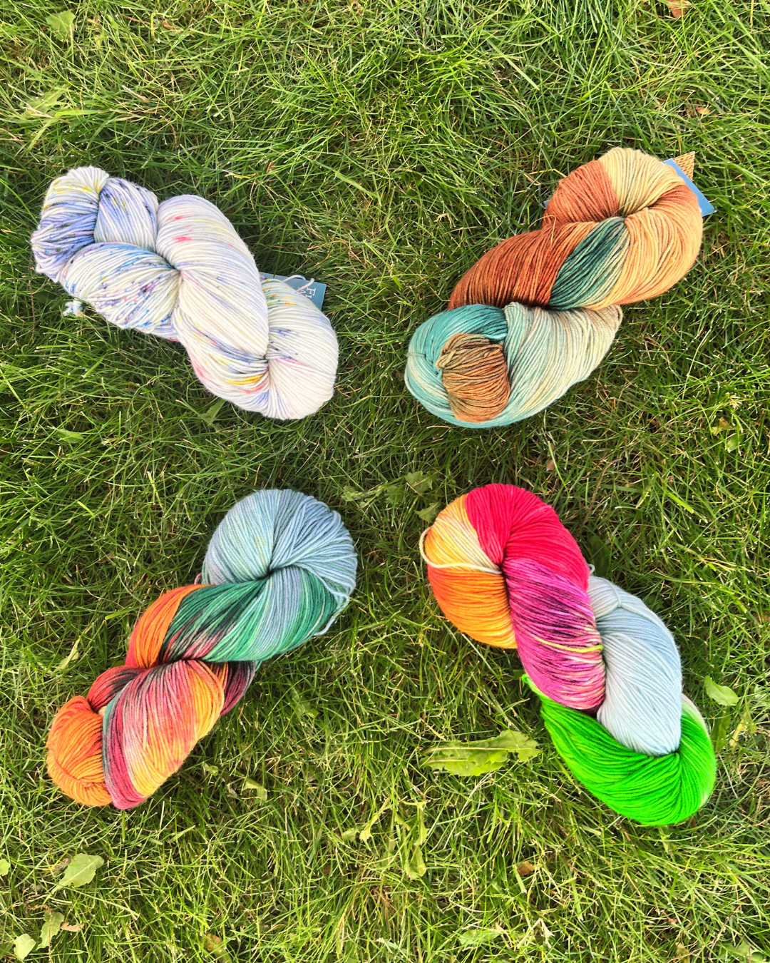 Four skeins of colorful Colours of Ottawa yarns on a grassy background