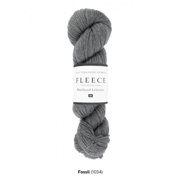 1034 Fossil