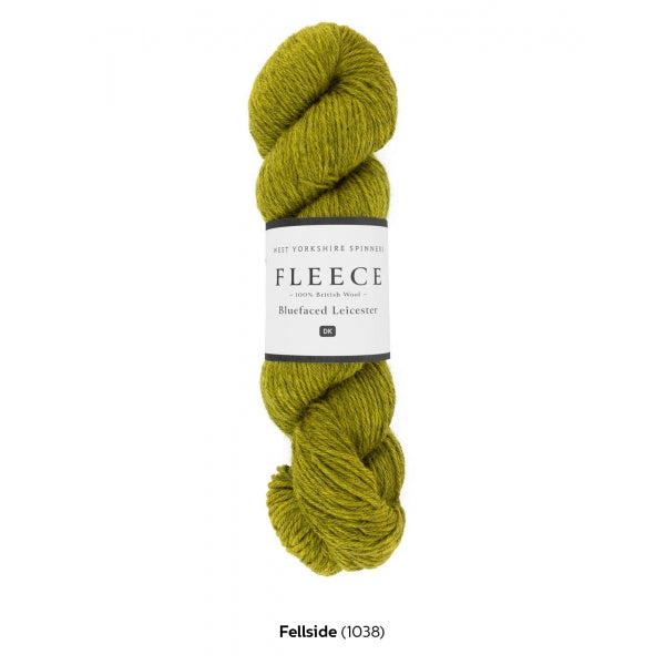 1038 Fellside
