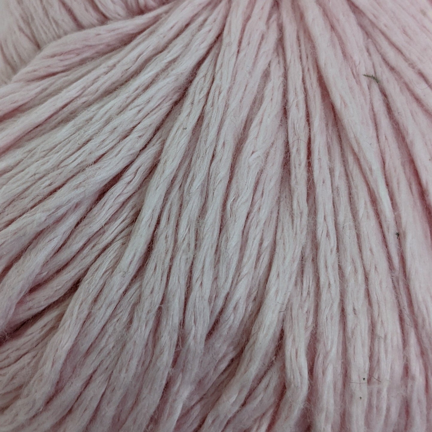 20 Andean Flamingo