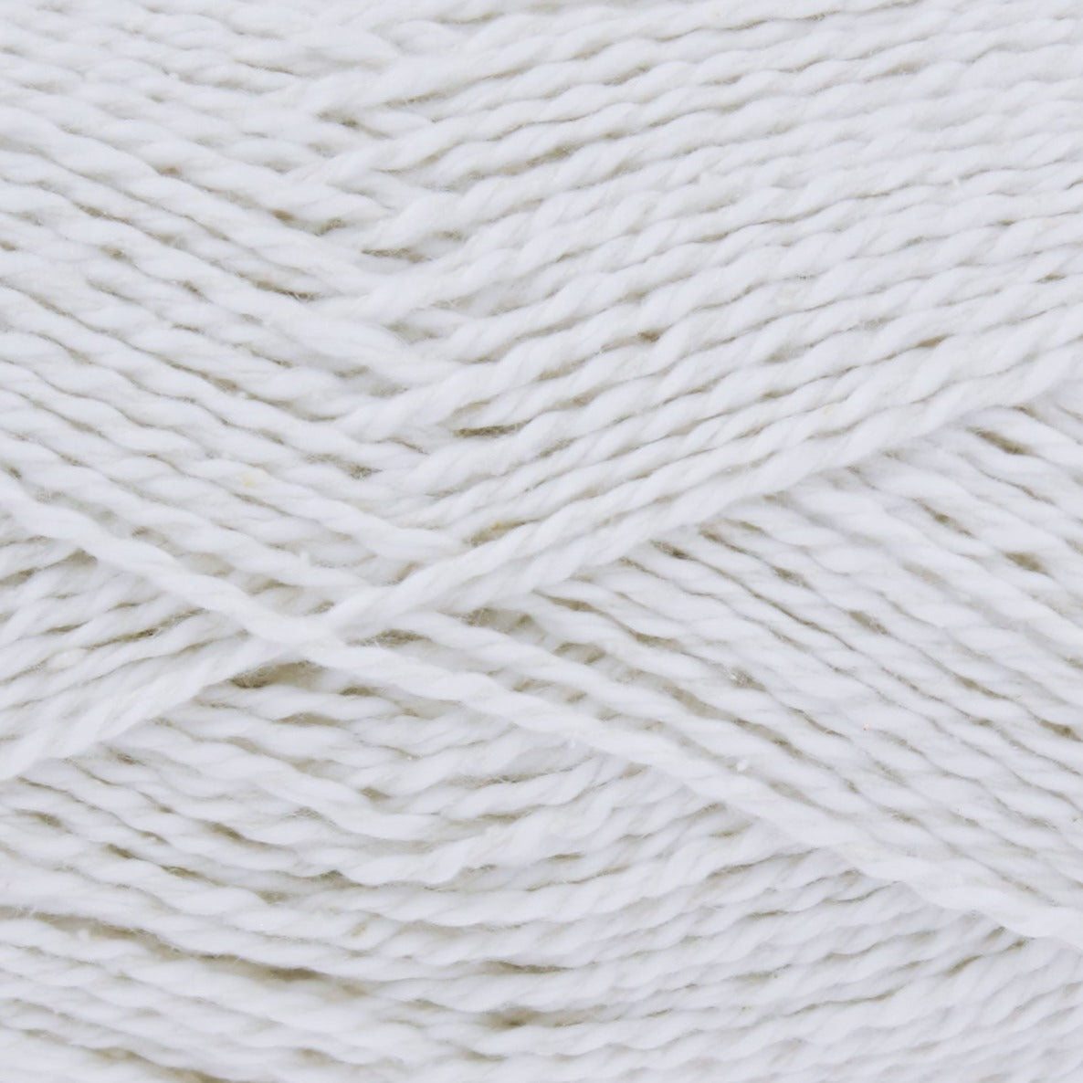 2810 White