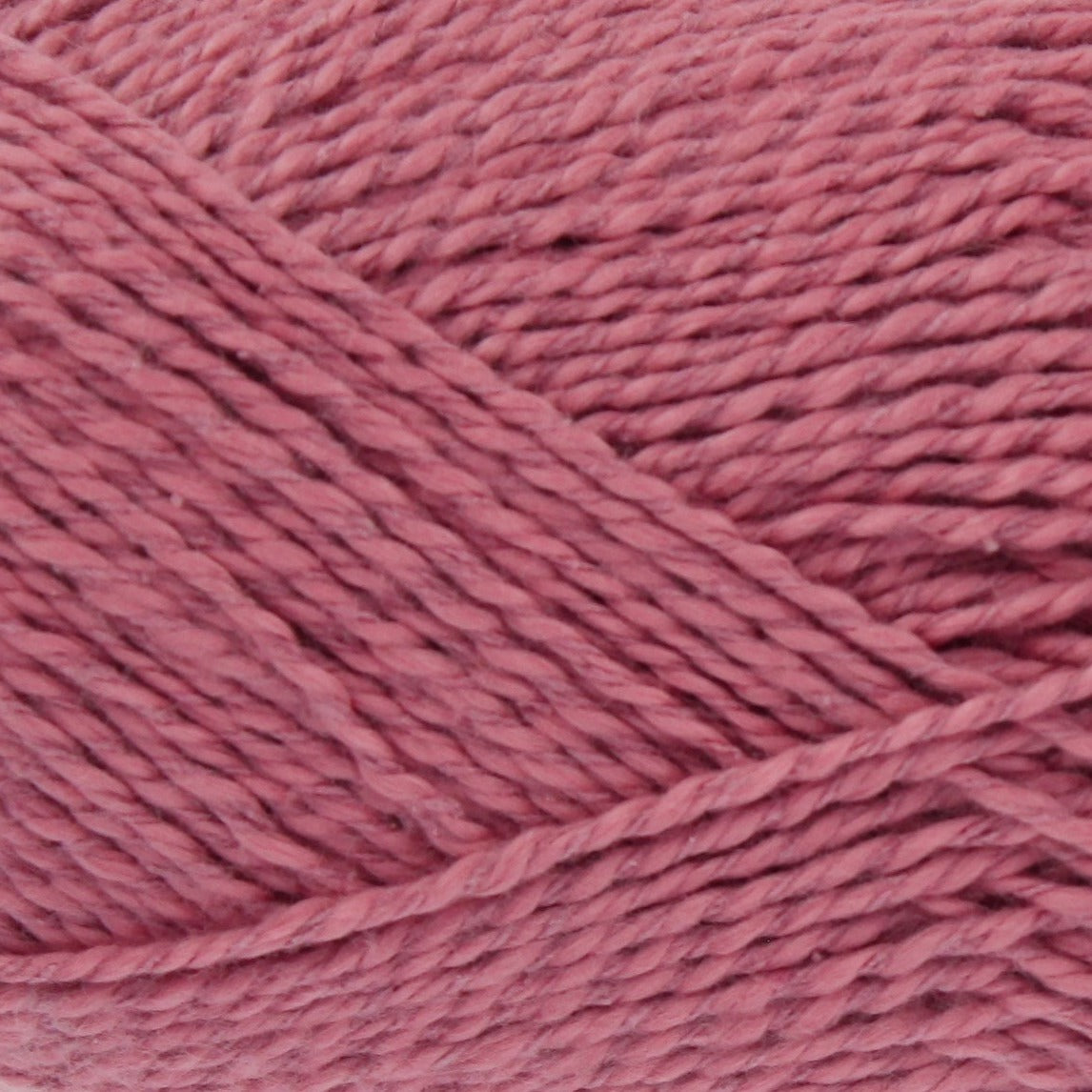 2813 English Rose