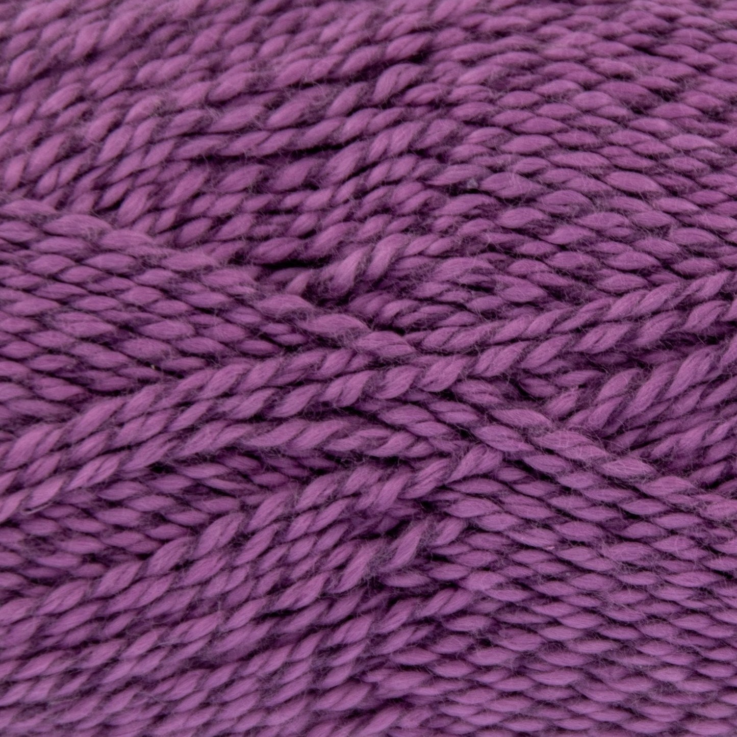 2826 Tulip