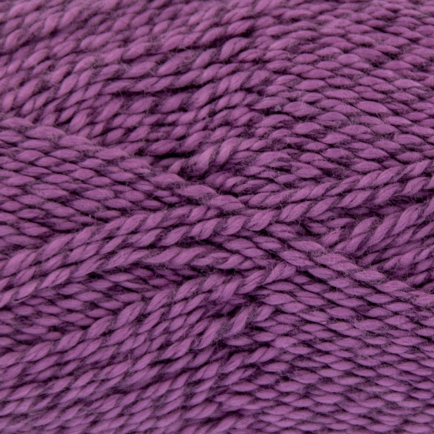 2826 Tulip