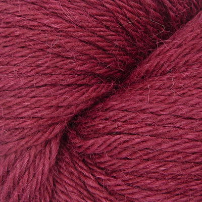 Q64504 Maroon