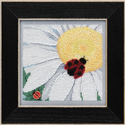 MH14-2116 Ladybug on Daisy