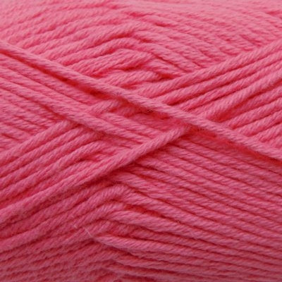 Q41912 Carnation