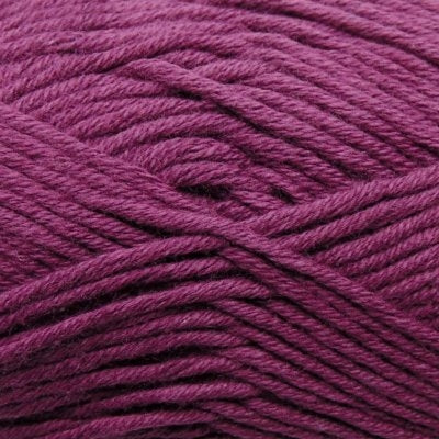 Q41913 Grape