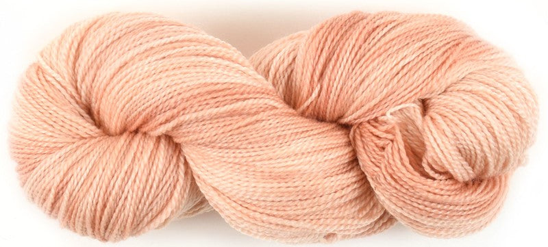 Apricot
