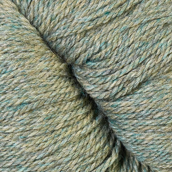 21195 Okra