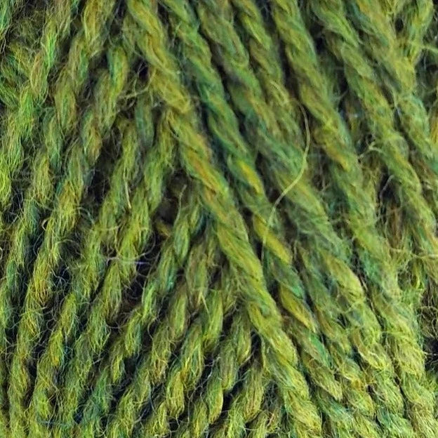 424 Olive