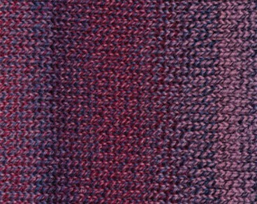 223 Pinot Noir