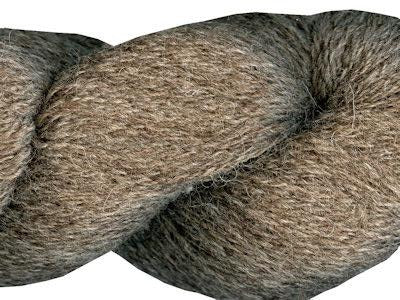 805 Ted (brown)