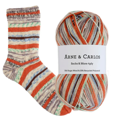 Painted House Socks & More 4ply by Arne & Carlos