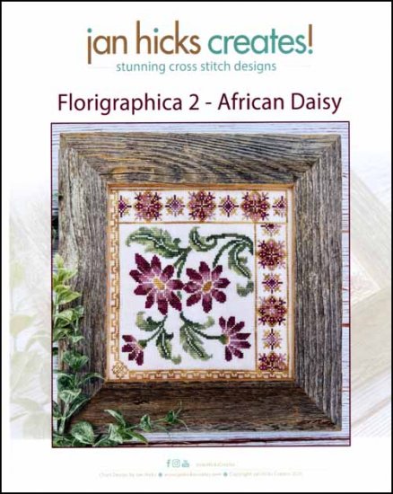 Florigraphica 2: African Daisy - Chart