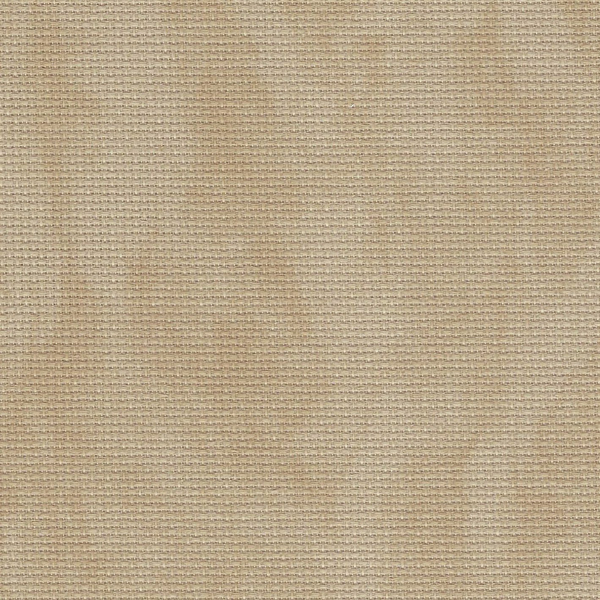 Aida (Zweigart) - 16 Count