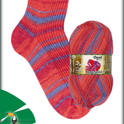 Wool-Tyme Sock Kit