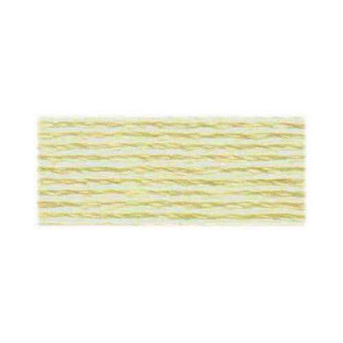 DMC Pearl Cotton Skein #5: 500-3823