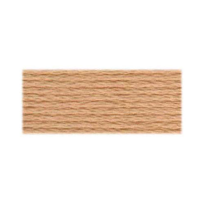 DMC Pearl Cotton Skein #5: 500-3823