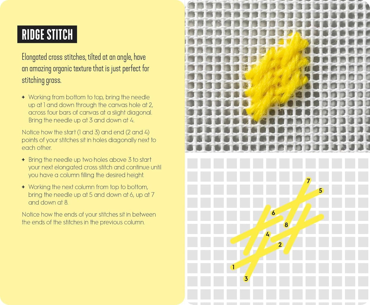 Text explaining ridge stitch with yellow thread on a grid background