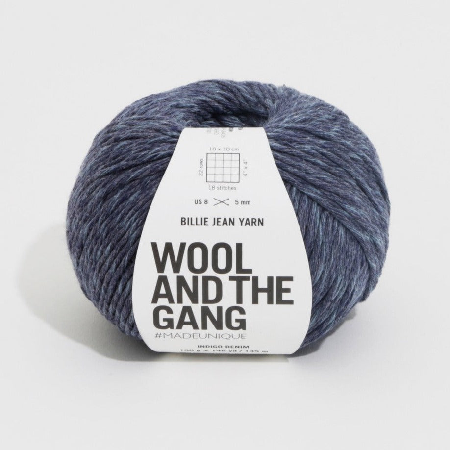 Wool and the Gang Billie Jean Yarn 253 Ecru White